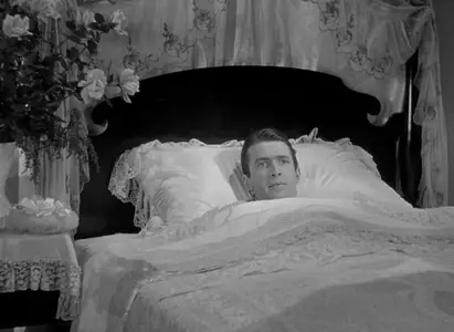 Vivacious Lady (1938)