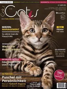 Our Cats - August 2025