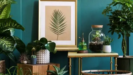 A Biophilic Home.