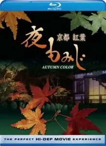 Kyoto Autumn Color