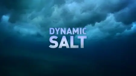Dynamic Salt (2018)