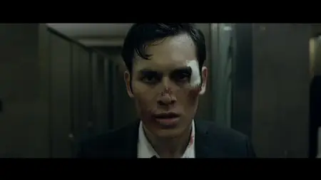 The Raid 2 (2014)