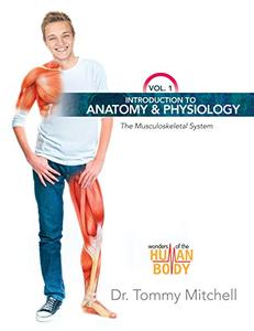 Introduction to Anatomy & Physiology Vol 1: The Musculoskeletal System (Repost)