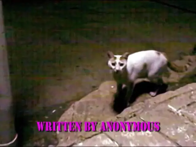 The End of Cruising (2013)