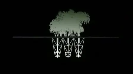 (Fr5) Une idée simple et révolutionnaire (2011)