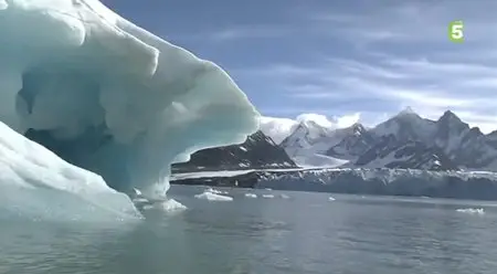 (Fr5) Les nourrissons des glaces (2013)