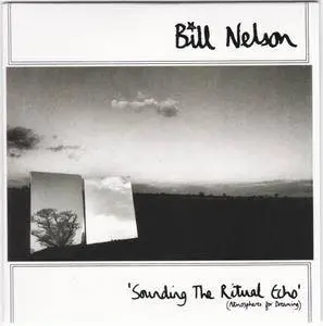 Bill Nelson - Dreamy Screens (2017) {3CD Box Set Esoteric Recordings COCD 31015 rec 1981-1982}