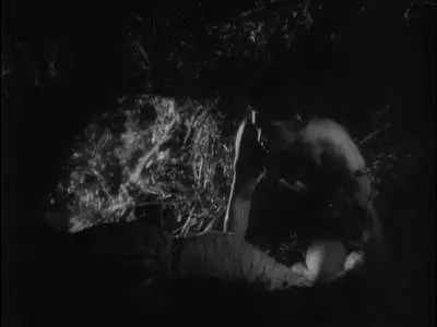 Tarzan the Ape Man (1932)