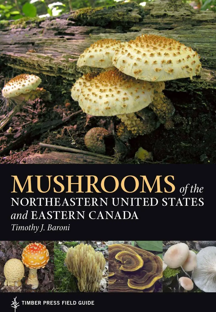 Mushrooms of the Northeastern United States and Eastern Canada / AvaxHome