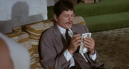 Le passager de la pluie / Rider on the Rain (1970)