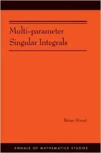Multi-parameter Singular Integrals (repost)