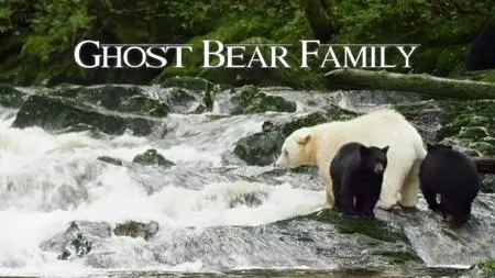 BBC Natural World - Ghost Bear Family (2015)