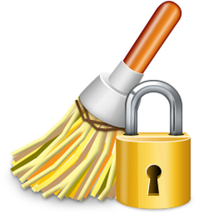 The Cleaner 9.0.0.1100 Final