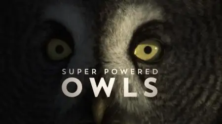 BBC - Natural World: Super Powered Owls (2015)