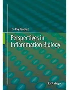 Perspectives in Inflammation Biology [Repost]