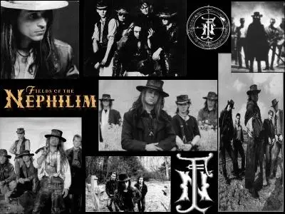 Tribute To The Fields Of The Nephilim