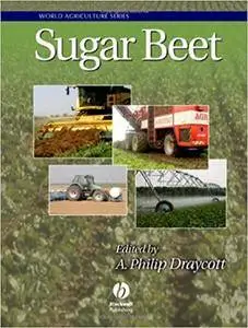 Sugar Beet (Repost)