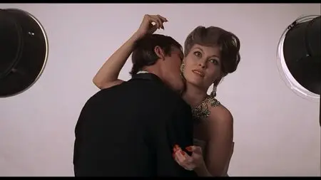 Puzzle of a Downfall Child (1970)