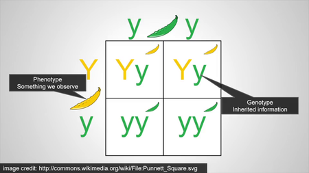 Coursera - Genomic Data Science Specialization (2016)