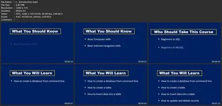 Sql Essentials For Beginners Using  Command Line Interface