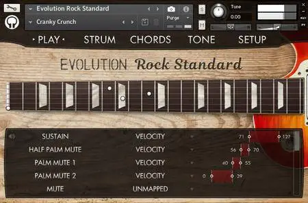 Orange Tree Samples Evolution Rock Standard KONTAKT