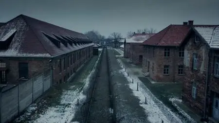 BBC - 1944: Should We Bomb Auschwitz? (2019)