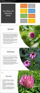 Herbalism: A Guide To Basic Herbal Actions