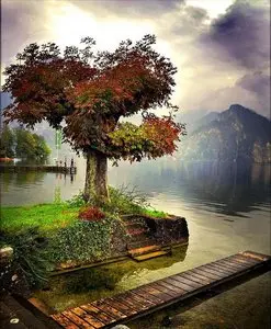 World In Photo 271
