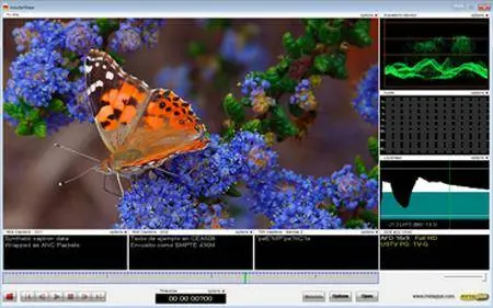 Metaglue masterView Pro 3.5.1