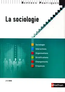 J-M. Morin, "La sociologie"