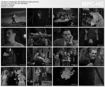 Frankenstein (1931)