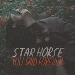 Star Horse - You Said Forever (Deluxe Version) (2019)