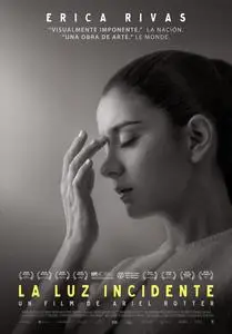 Incident Light (2015) La luz incidente