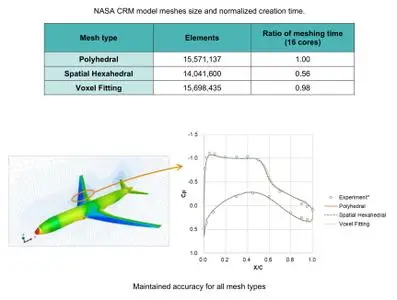 Cradle CFD 2021