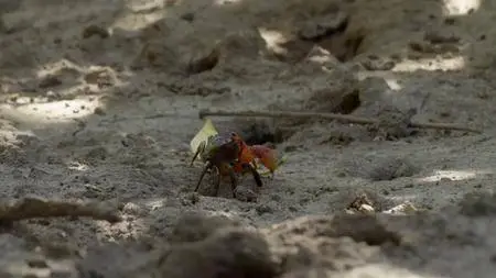 Smithsonian Earth - Waterworld Africa: Series 1 (2017)