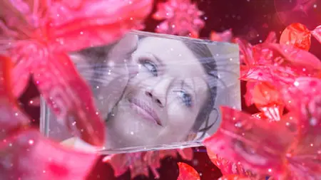 Wedding Fairy - Project for After Effects (VideoHive)