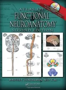 Atlas of Functional Neuroanatomy (2nd Edition) [Repost]