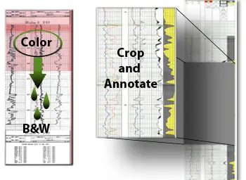 Neuralog NeuraView 2011.7