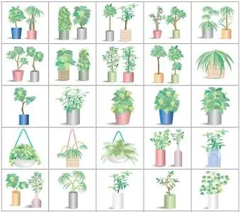 AP Total Design - Folliage Plants & Flowers