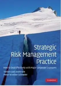 Strategic Risk Management Practice: How to Deal Effectively with Major Corporate Exposures [Repost]