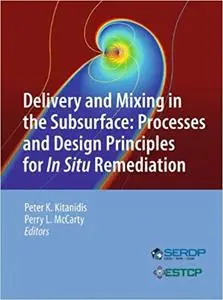 Delivery and Mixing in the Subsurface: Processes and Design Principles for In Situ Remediation