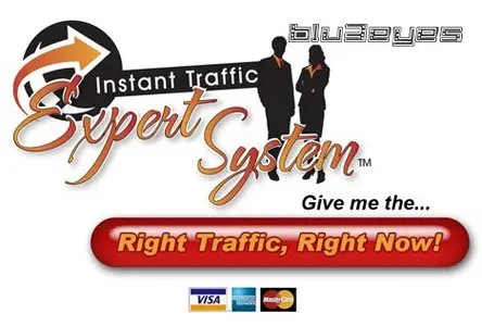 Instant Traffic Expert System