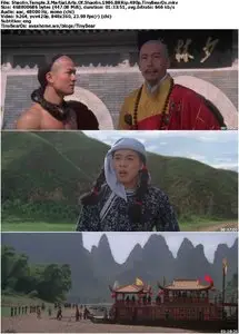 Shaolin Temple 3: Martial Arts Of Shaolin (1986)