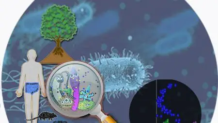 Microbiome And Bioinformatics