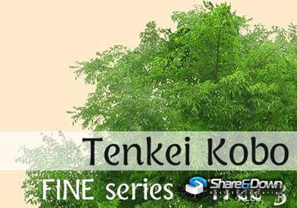 FINE Tenkei Kobo - TK11 - Tree 3 [ 2 CD ]