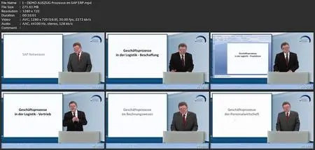 Sap All-In-One Prozesse Im Sap Erp