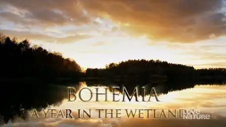 ORF - Bohemia - A Year in the Wetlands (2009)