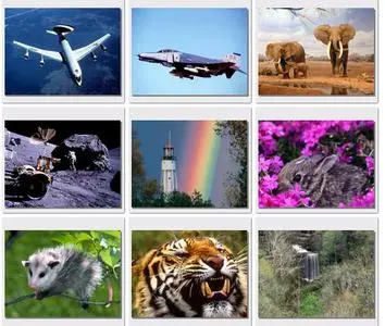 WebShots Collection - 1999
