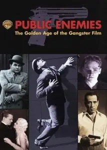 Public Enemies: The Golden Age of the Gangster Film (2008)