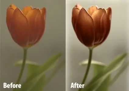 OnOneSoftware PhotoTools 1.0 Professional for Photoshop